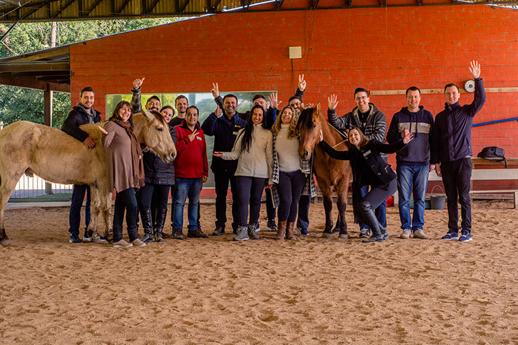 Projeto inédito com cavalos