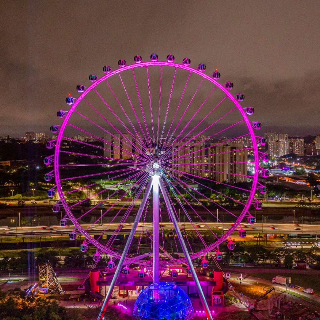 Visão de cima da roda gigante à noite. Com luzes cor de rosa e azul em toda sua extensão e ao fundo parte da cidade de São Paulo.